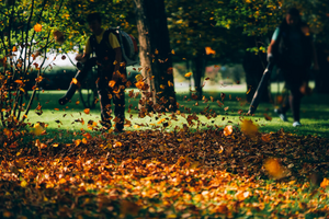 Tuinwerkzaamheden en onmisbare tuinmachines voor de herfst