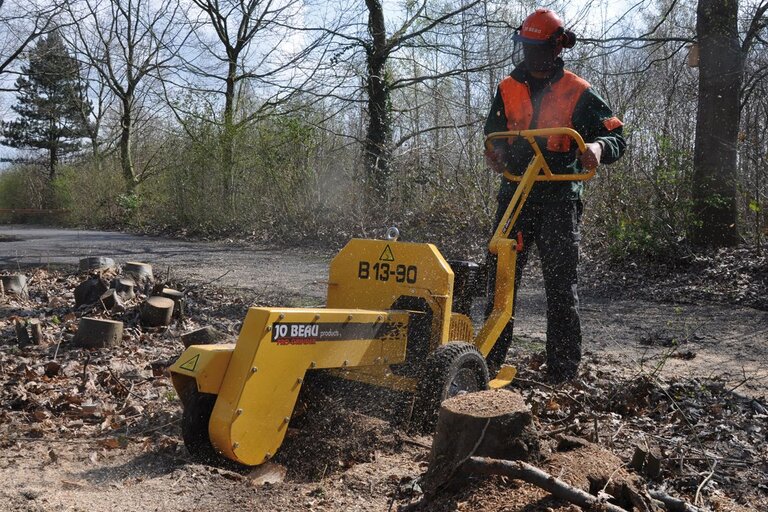 Boomstronkenfrees 13 pk